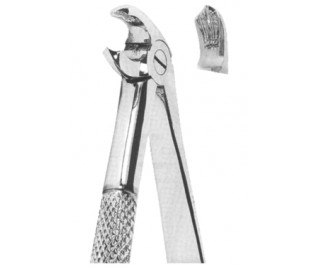 Extracting Forceps English pattern